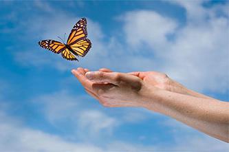 Butterfly Release and Memorial Service